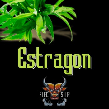 Ароматизатор ElecSir Flavors - Estragon - 10ml