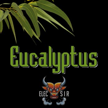 Ароматизатор ElecSir Flavors - Eucalyptus - 10ml