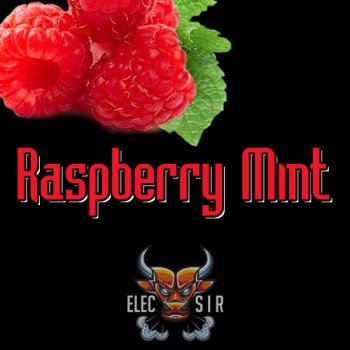 Ароматизатор ElecSir Flavors - Raspberry Mint - 10ml