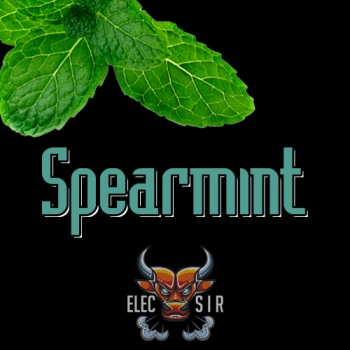 Ароматизатор ElecSir Flavors - Spearmint - 10ml