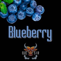 ElecSir Flavors - Blueberry - 10ml