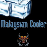 ElecSir Flavors - Malaysian Cooler (Малазийский кулер) - 10ml