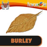 FlavourArt - Burley - 10ml