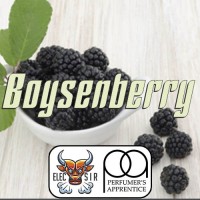 TPA - Boysenberry Flavor - 10ml