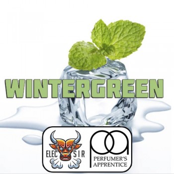 Ароматизатор TPA - Wintergreen Flavor - 10ml