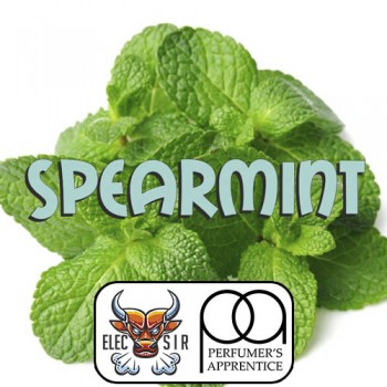 Ароматизатор TPA - Spearmint Flavor - 10ml