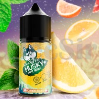 Husky Mint Series SALT - Citrus Days - 30ml