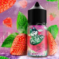 Husky Mint Series SALT - Red Garden - 30ml